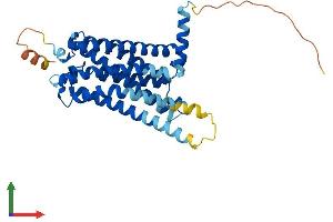 AlphaFold protein structure predicition of Mouse Recombinant Cnr2 Protein, UniprotID P47936