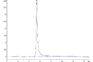 The purity of Biotinylated Human GPRC5D VLP is greater than 95 % as determined by SEC-HPLC. (GPRC5D Protein-VLP (AA 1-345) (Biotin))