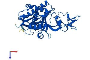 AlphaFold protein structure predicition of Human Recombinant ASPA Protein, UniprotID P45381