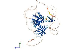 AlphaFold protein structure predicition of Human Recombinant GGA3 Protein, UniprotID Q9NZ52