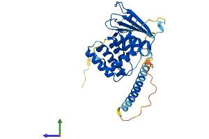AlphaFold protein structure predicition of Human Recombinant AIMP2 Protein, UniprotID Q13155