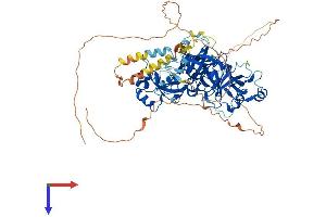 AlphaFold protein structure predicition of Human Recombinant L3MBTL2 Protein, UniprotID Q969R5