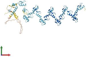 AlphaFold protein structure predicition of Human Recombinant ZNF14 Protein, UniprotID P17017