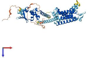AlphaFold protein structure predicition of Mouse Recombinant Kcnf1 Protein, UniprotID Q7TSH7