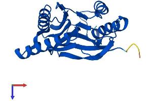 AlphaFold protein structure predicition of Human Recombinant PSMB2 Protein, UniprotID P49721