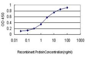 Detection limit for recombinant GST tagged TUBB4B is approximately 0. (TUBB2C anticorps  (AA 1-445))