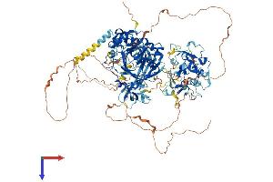 AlphaFold protein structure predicition of Human Recombinant KDM4B Protein, UniprotID O94953