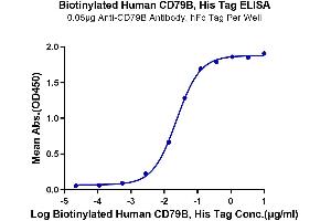 Immobilized Anti-CD79B Antibody, hFc Tag at 0.