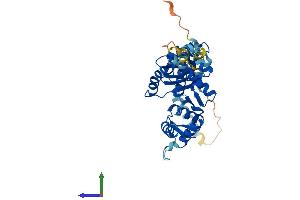 AlphaFold protein structure predicition of Human Recombinant STN1 Protein, UniprotID Q9H668