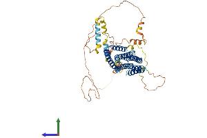 AlphaFold protein structure predicition of Mouse Recombinant Fam114a2 Protein, UniprotID Q8VE88