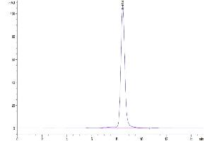 The purity of Human c-MPL/Thrombopoietin R is greater than 95 % as determined by SEC-HPLC.