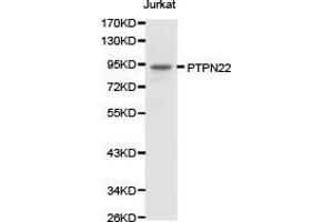 Western Blotting (WB) image for anti-Tyrosine-Protein Phosphatase Non-Receptor Type 22 (PTPN22) antibody (ABIN1874452) (PTPN22 anticorps)