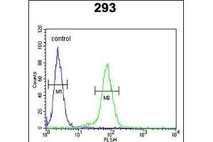 CLDN8 Antibody (Center) (ABIN653170 and ABIN2842734) flow cytometric analysis of 293 cells (right histogram) compared to a negative control cell (left histogram). (CLDN8 anticorps  (AA 140-166))