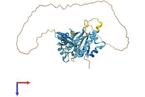 AlphaFold protein structure predicition of Mouse Recombinant Pcbp2 Protein, UniprotID Q61990