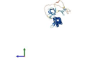 AlphaFold protein structure predicition of Human Recombinant GAS7 Protein, UniprotID O60861