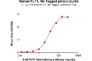ELISA plate pre-coated by 2 μg/mL (100 μL/well) Human Protein, His Tag (ABIN7455456, ABIN7490833 and ABIN7490835) can bind Anti- Neutralizing antibody ABIN7478023 and ABIN7490992 in a linear range of 0.