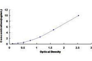 ELISA image for Natriuretic Peptide Receptor B/guanylate Cyclase B (Atrionatriuretic Peptide Receptor B) (NPR2) ELISA Kit (ABIN433373)