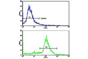 Flow cytometric analysis of ATDC5 cells using ALDH6A1 polyclonal antibody (bottom histogram) compared to a negative control cell (top histogram). (ALDH6A1 anticorps  (N-Term))