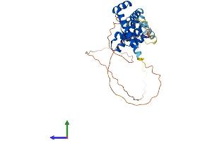 AlphaFold protein structure predicition of Human Recombinant SIX3 Protein, UniprotID O95343