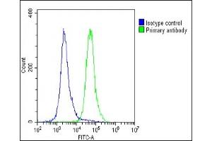 Overlay histogram showing U-2 OS cells stained with (ABIN656709 and ABIN2845939)(green line).