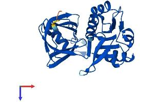 AlphaFold protein structure predicition of Mouse Recombinant Cyb5r2 Protein, UniprotID Q3KNK3