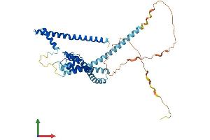AlphaFold protein structure predicition of Mouse Recombinant Kcnk4 Protein, UniprotID O88454