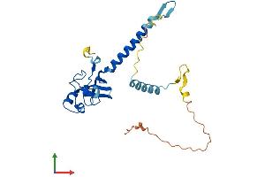 AlphaFold protein structure predicition of Human Recombinant MED6 Protein, UniprotID O75586