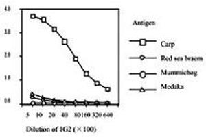 Standard curve for red sea bream, carp, mummichog and medaka ELISA, using Vitellogenin monoclonal antibody, clone 1G2 . (Vitellogenin 2 anticorps)