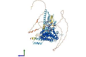 AlphaFold protein structure predicition of Mouse Recombinant Armc9 Protein, UniprotID Q9D2I5