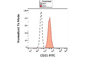 Surface staining of human peripheral blood leukocytes with anti-CD21 (LT21) FITC. (CD21 anticorps  (FITC))