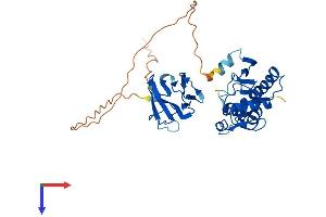 AlphaFold protein structure predicition of Human Recombinant APTX Protein, UniprotID Q7Z2E3
