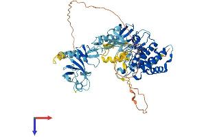 AlphaFold protein structure predicition of Mouse Recombinant Limk2 Protein, UniprotID O54785