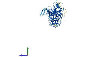 AlphaFold protein structure predicition of Mouse Recombinant Tmprss4 Protein, UniprotID Q8VCA5