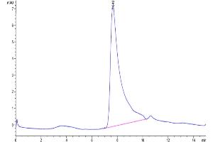 The purity of Human Calprotectin (S100A8&S100A9) is greater than 95 % as determined by SEC-HPLC. (S100A8/A9 Complex (Calprotectin) Protein (AA 1-93) (His tag))