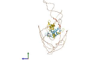 AlphaFold protein structure predicition of Human Recombinant IKZF4 Protein, UniprotID Q9H2S9
