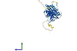 AlphaFold protein structure predicition of Human Recombinant DUSP12 Protein, UniprotID Q9UNI6