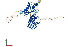 AlphaFold protein structure predicition of Mouse Recombinant Impact Protein, UniprotID O55091