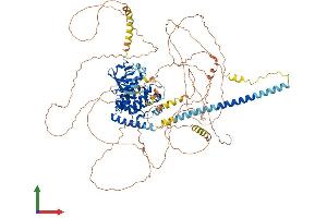 AlphaFold protein structure predicition of Mouse Recombinant Map3k13 Protein, UniprotID Q1HKZ5