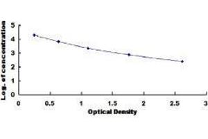 Glycophosphatidylinositol (GPI) ELISA Kit