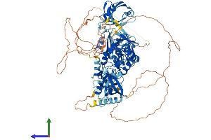 AlphaFold protein structure predicition of Human Recombinant DLG2 Protein, UniprotID Q15700