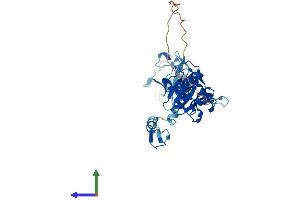 AlphaFold protein structure predicition of Human Recombinant YOD1 Protein, UniprotID Q5VVQ6