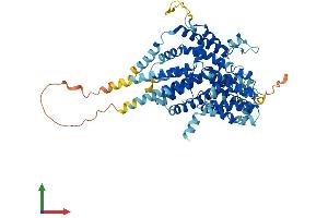 AlphaFold protein structure predicition of Human Recombinant SLC13A2 Protein, UniprotID Q13183