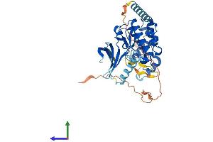 AlphaFold protein structure predicition of Human Recombinant CDKL4 Protein, UniprotID Q5MAI5
