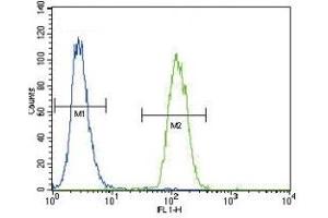 Urokinase antibody flow cytometric analysis of A2058 cells (green) compared to a negative control (blue).