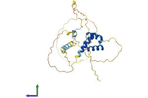 AlphaFold protein structure predicition of Human Recombinant NKX6-3 Protein, UniprotID A6NJ46