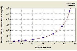 Typical standard curve (Reelin Kit ELISA)