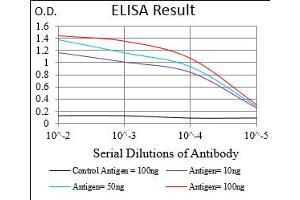 Fig. (PLA2G12A anticorps  (AA 21-189))