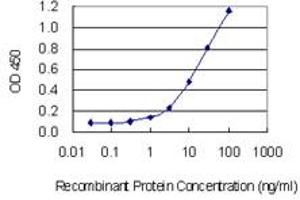 Detection limit for recombinant GST tagged ABO is 0. (ABO anticorps  (AA 273-354))