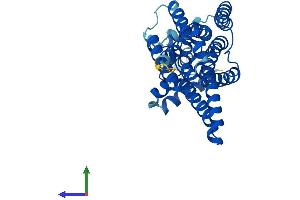 AlphaFold protein structure predicition of Mouse Recombinant G6pc3 Protein, UniprotID Q6NSQ9