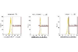 Flow Cytometry (FACS) image for anti-AlkB, Alkylation Repair Homolog 3 (ALKBH3) (AA 1-286) antibody (APC) (ABIN5565112)
